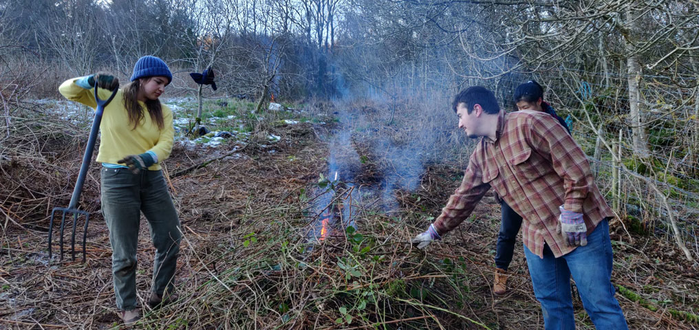 Removing and burning invasive species and Brambles